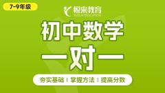 初中数学