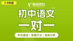 初中语文