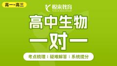 高中生物